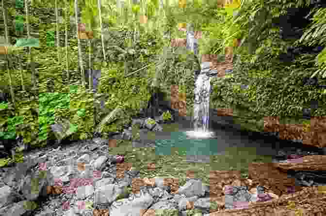 A Lush Canopy Of El Yunque Rainforest, A Symbol Of Puerto Rico's Natural Beauty And Culinary Inspiration Puerto Rican Recipes: How To Cook Puerto Rican Meals: Puerto Rican Cookbook