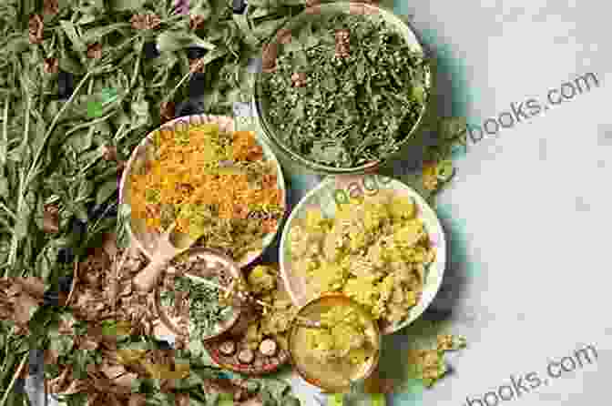 Assortment Of Medicinal Herbs In A Wooden Bowl Southern Folk Medicine: Healing Traditions From The Appalachian Fields And Forests