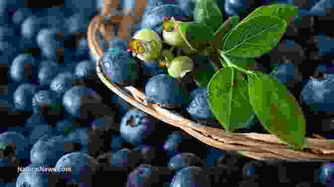 Blueberries For Memory And Cognitive Function Superfruits: (Top 20 Fruits Packed With Nutrients And Phytochemicals Best Ways To Eat Fruits For Maximum Nutrition And 75 Simple And Delicious Recipes For Overall Wellness)