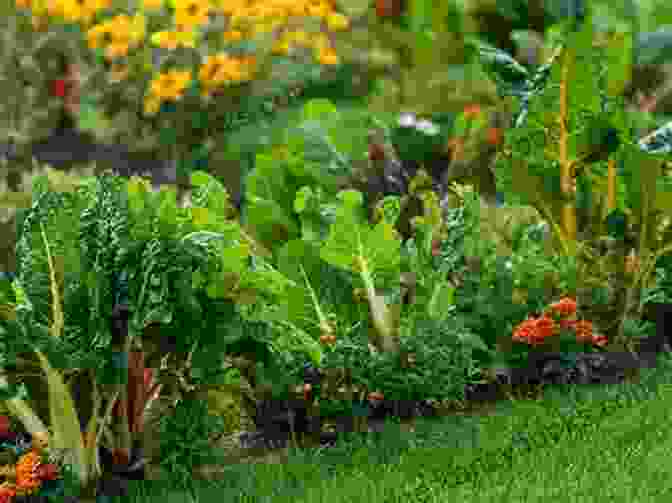 Food Forest With Diverse Mix Of Edible Plants, Including Fruits, Vegetables, And Herbs Creating Your Florida Yard: Planting A Food Forest In Florida