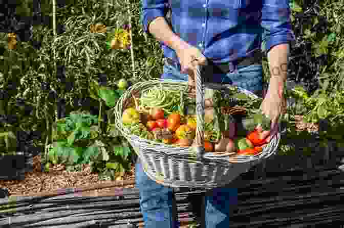 Freshly Harvested Fruits And Vegetables, Ready For Preservation Homestead Cooking: Food Preservation Basics: HOMESTEAD COOKING: Food Preservation Basics