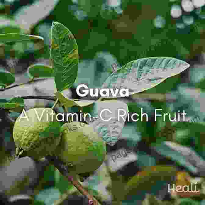 Guava As A Rich Source Of Vitamin C Superfruits: (Top 20 Fruits Packed With Nutrients And Phytochemicals Best Ways To Eat Fruits For Maximum Nutrition And 75 Simple And Delicious Recipes For Overall Wellness)