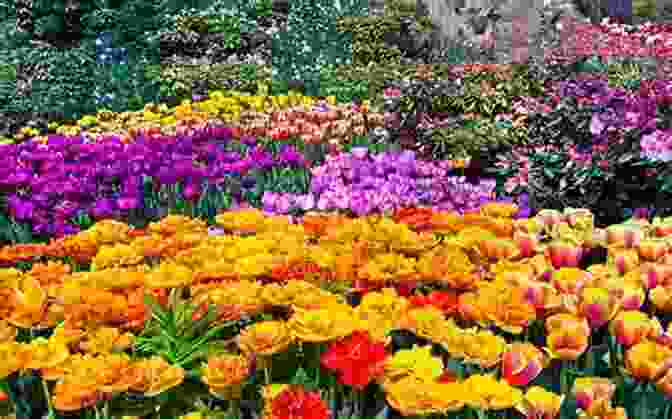 Image Of A Vibrant Flower Garden With Blooming Flowers In Various Colors Plant Intelligence And The Imaginal Realm: Beyond The Doors Of Perception Into The Dreaming Of Earth