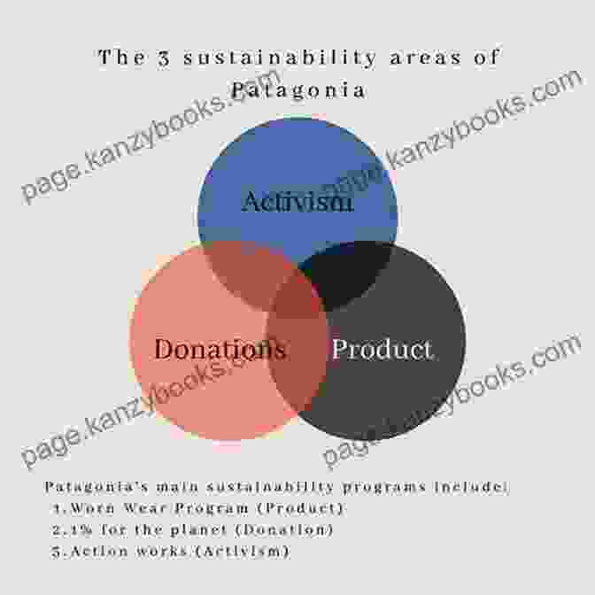 Patagonia Environmental Sustainability Acupuncture Points Are Holes: A Case Study In Social Entrepreneurship