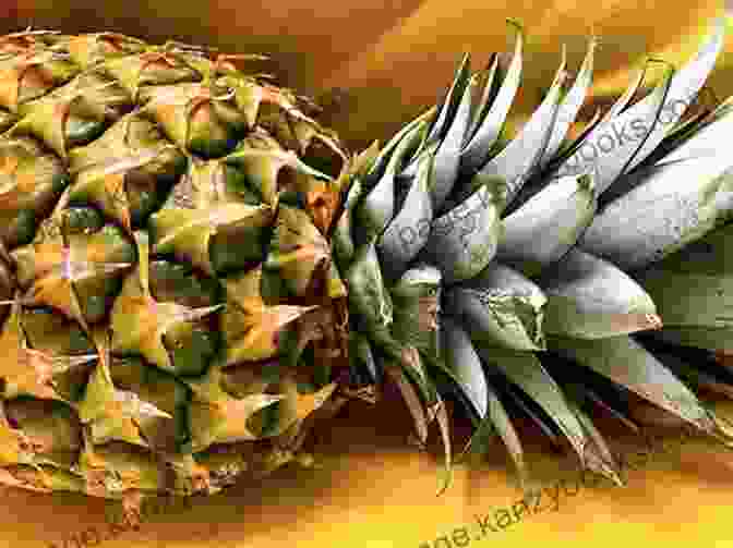 Pineapple For Its Anti Inflammatory Properties Superfruits: (Top 20 Fruits Packed With Nutrients And Phytochemicals Best Ways To Eat Fruits For Maximum Nutrition And 75 Simple And Delicious Recipes For Overall Wellness)