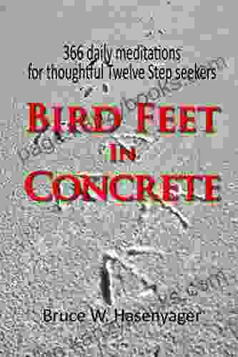 Bird Feet In Concrete: 366 Daily Meditations For Thoughtful Twelve Step Seekers