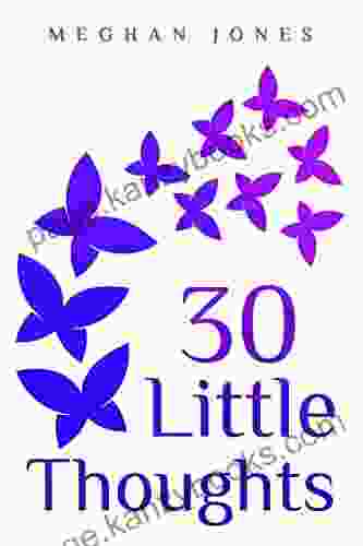 30 Little Thoughts: A Collection Of Thoughts About Topics And Ideas Little Things To Think About To Make Every Day Brighter