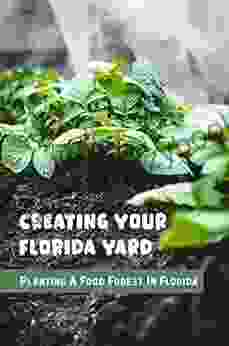 Creating Your Florida Yard: Planting A Food Forest In Florida