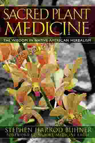 Sacred Plant Medicine: The Wisdom in Native American Herbalism