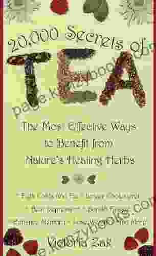 20 000 Secrets Of Tea: The Most Effective Ways To Benefit From Nature S Healing Herbs